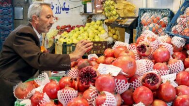 دو نمایشگاه‌ عرضه کالا ویژه شب یلدا در شیراز افتتاح شد