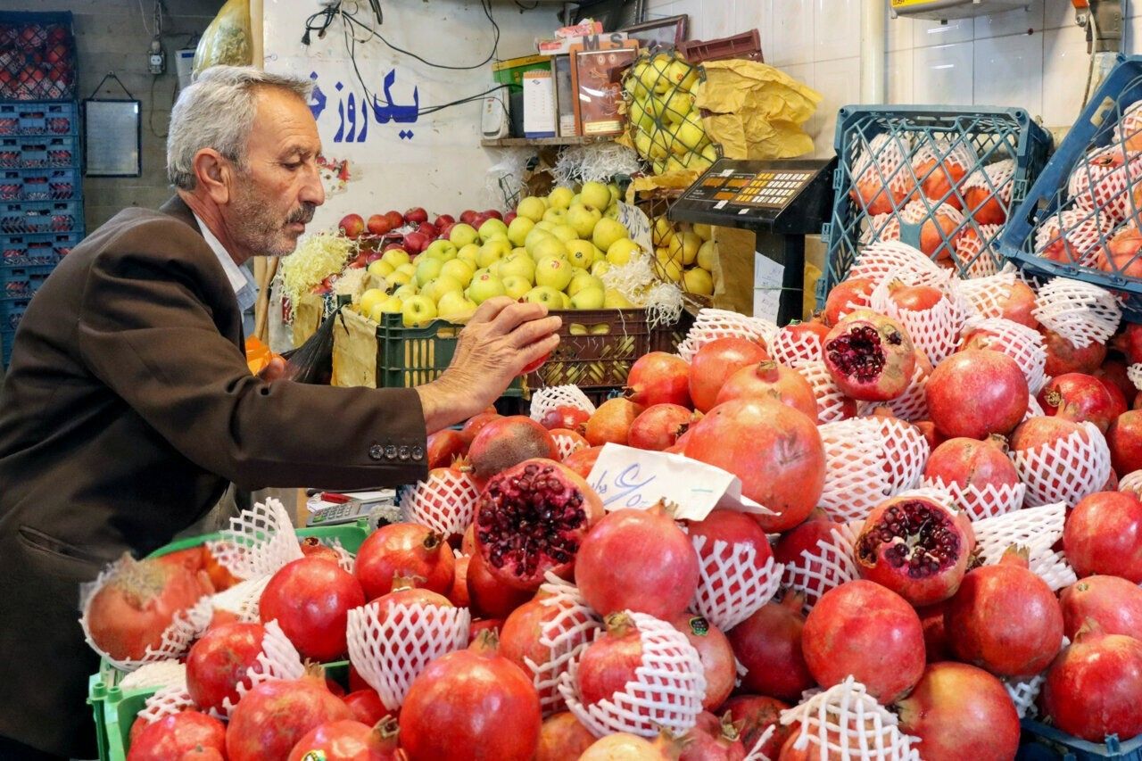 دو نمایشگاه‌ عرضه کالا ویژه شب یلدا در شیراز افتتاح شد