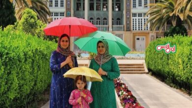 تداوم بارشها در استان فارس تا شنبه؛ سامانه جدید دوشنبه وارد میشود 3 باران در باغ ارم شیراز