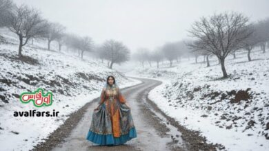 هشدار نارنجی در فارس برای ورود سامانه جدید بارشی/امیرایوب رستم رکورددار بارش‌ها