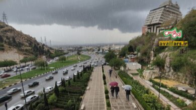 ۱۰ منطقه پربارش استان فارس در سامانه اخیر/ میمند پیشتاز باران