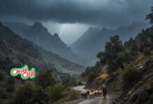 ورود سامانه بارشی جدید به فارس ۱۸ و ۱۹ بهمن‌ماه/امیرایوب رستم در صدر بارش‌های اخیر