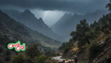 اعلام میزان بارش‌های زمستانی در فارس؛ صدرنشینی کازرون در سامانه اخیر
