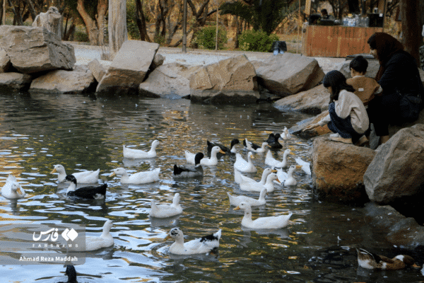 باغ ارم شیراز 14