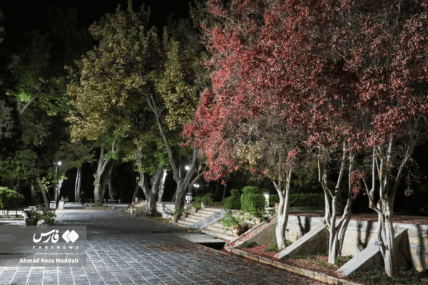 باغ ارم شیراز 17