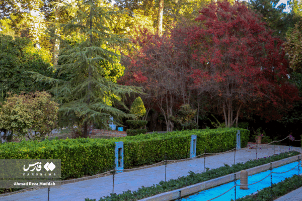 باغ ارم شیراز 3
