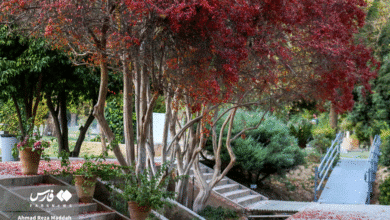 تصاویری تماشایی از باغ ارم شیراز در پاییز 6 باغ ارم شیراز 9