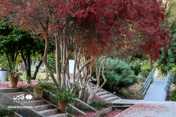 باغ ارم شیراز 9