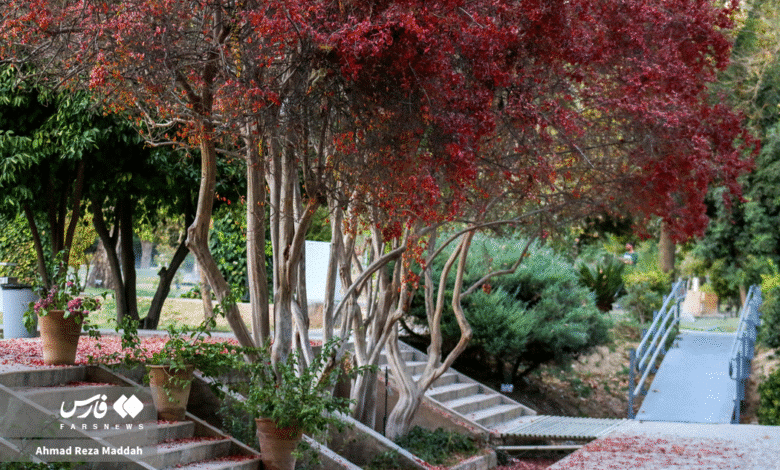 باغ ارم شیراز 9