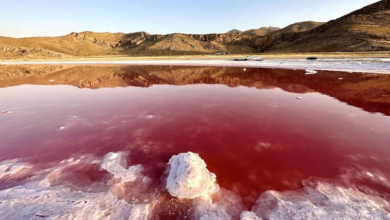 زنگ خطر برای شیراز؛ تبدیل تالاب مهارلو به کانون گرد و غبار سمی و فلزات سنگین