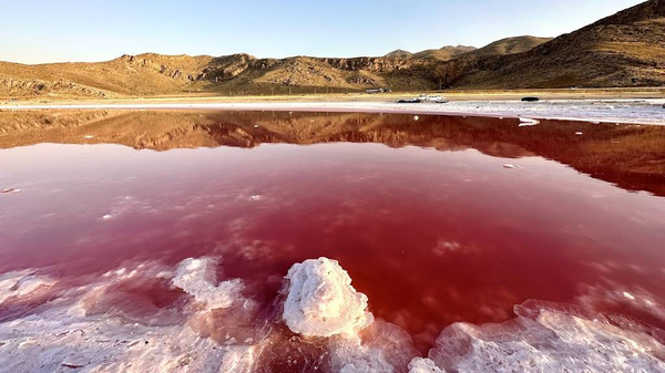 زنگ خطر برای شیراز؛ تبدیل تالاب مهارلو به کانون گرد و غبار سمی و فلزات سنگین