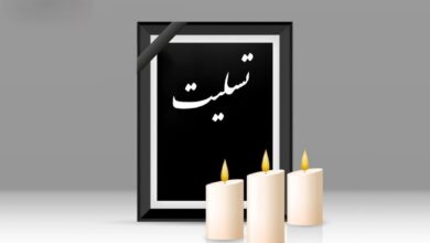 پیام تسلیت مدیرکل راهداری فارس در پی درگذشت بخشدار کربال