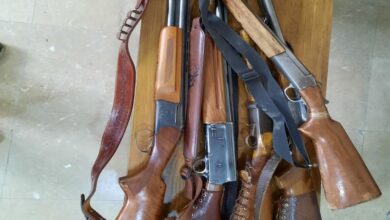 کشف ۵ قبضه اسلحه از شرکت‌کنندگان یک مراسم عزا در بخش درودزن