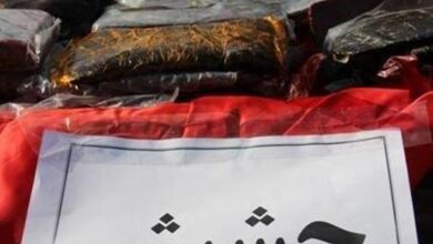 ضرب شست پلیس به قاچاقچیان کالا و مواد مخدر در فارس؛ از کشف ۱۰۰ هزار نخ سیگار تا توقیف محموله «آنلاین‌شاپ» فاقد مجوز