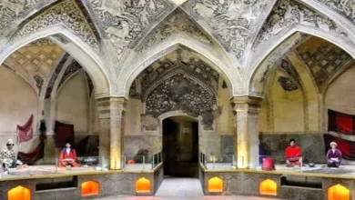 سایه سنگین فرسودگی و زخم‌های عمیق بر تن ارگ کریمخانی ، موزه پارس و گرمابه وکیل