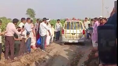 خودروی محبوی