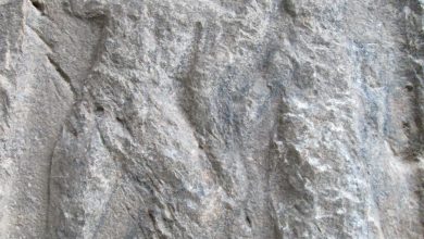 کشف نگارکند «نبرد هرکول و مار هیدرا» در اندیکا مسجد سلیمان/ رازهای تازهای از الیماییها در زاگرس 4 دریافتی