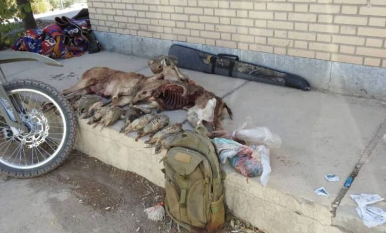 کشف پیکر چندین حیوان از خورجین یک مرد در بيابان های بوانات 1 شکار بوانات