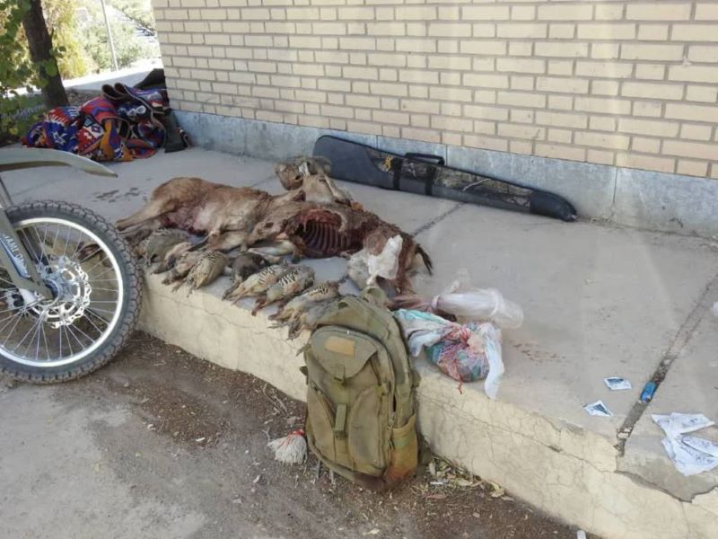 کشف پیکر چندین حیوان از خورجین یک مرد در بیابان های بوانات