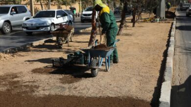 چمن از فضای سبز منطقه یک شیراز حذف میشود 3 شیرازشهرداری منطقه یک