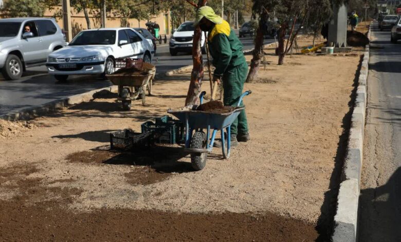 شیرازشهرداری منطقه یک