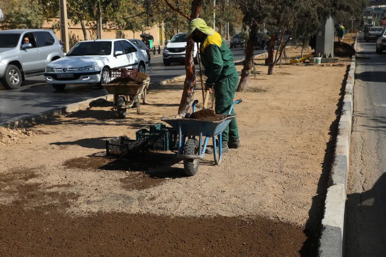 چمن از فضای سبز منطقه یک شیراز حذف می‌شود