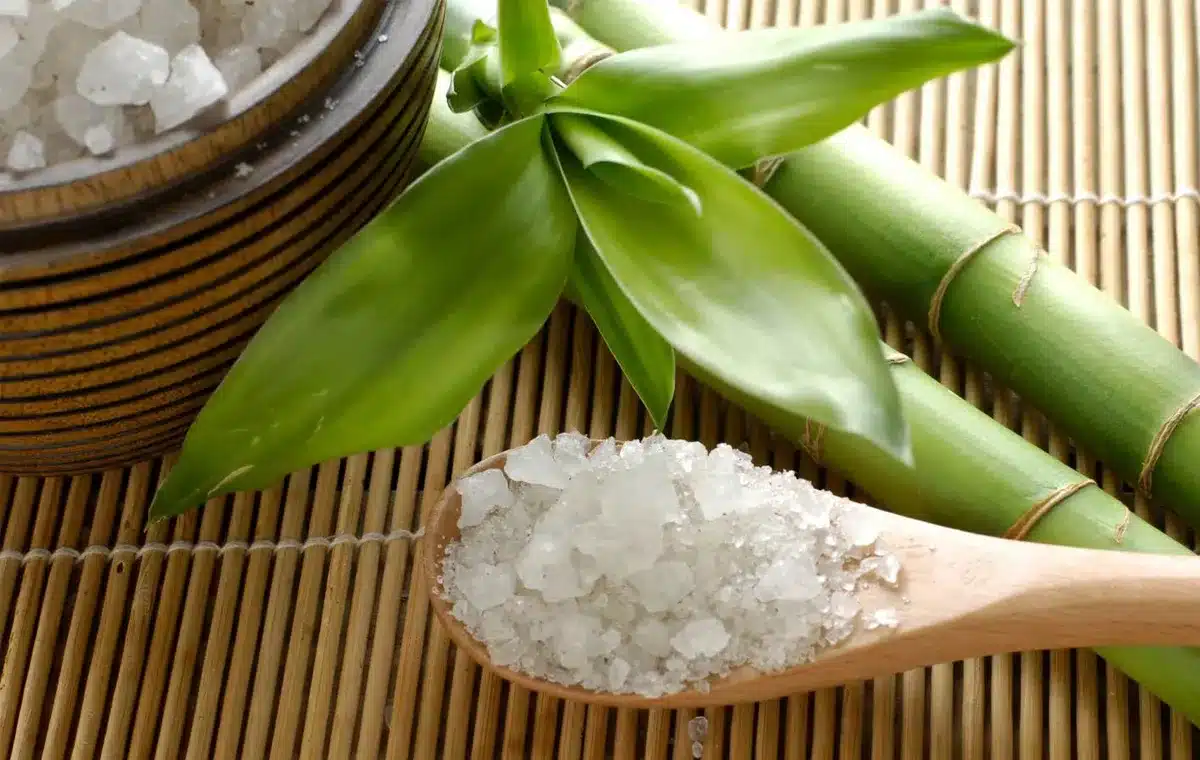 طباشیر؛گیاهی جادویی و موثر برای درمان کیست تخمدان و تنظیم قاعدگی