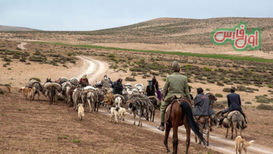 اعلام وضعیت اضطراری سامانه بارشی شدید در مناطق عشایرنشین فارس