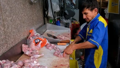 قیمت مصوب مرغ گرم در فارس اعلام شد