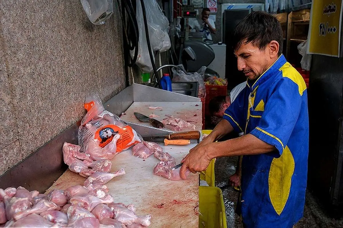 قیمت مصوب مرغ گرم در فارس اعلام شد