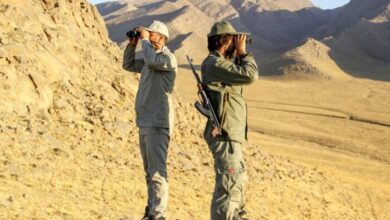 درگیری مسلحانه در پارک ملی بمو؛ دو محیط‌بان با شلیک شکارچیان متخلف زخمی شدند