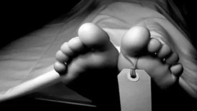 اعدام یک مجرم به شیوه عجیب در توپخانه شیراز 4 مرگ