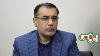 واکنش معاون اقتصادی استانداری فارس به مطالبات نانوایان:دولت باید تدبیر کند