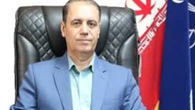 نظارت بر بازار فارس در آستانه شب یلدا تشدید شد/محکومیت ۲۷۰۰ میلیارد ریالی متخلفان صنفی در استان در سال جاری 2 موسی رهبر