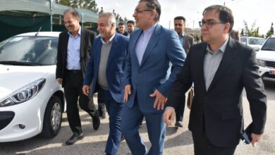 ضرب‌الاجل مدیریتی برای رفع موانع تولید و معدن در فسا/ تأکید بر تصمیمات عملی به دور از بروکراسی