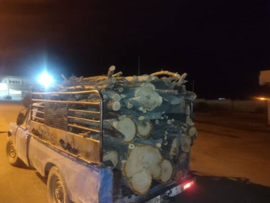 کشف سوخت قاچاق، چوب جنگلی و گردوی خارجی در سه شهرستان فارس 3 چوب بوانات 1