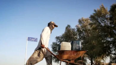 شیراز در بن‌بست مهاجرت‌های شتاب‌زده؛ از فروپاشی زیست‌محیطی تا تعمیق نابرابری