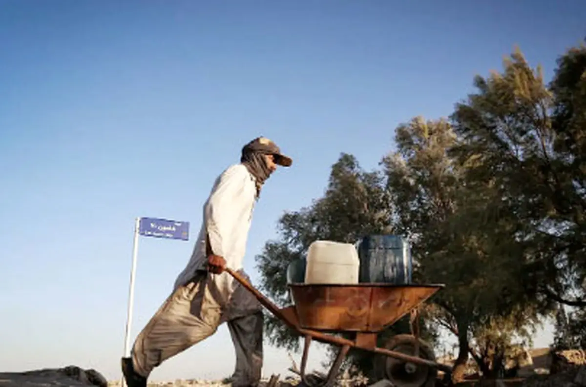 شیراز در بن‌بست مهاجرت‌های شتاب‌زده؛ از فروپاشی زیست‌محیطی تا تعمیق نابرابری