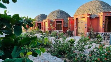 پرداخت ۵ میلیارد تومان تسهیلات 4 درصدی به فعالان گردشگری در فارس 5 گردشگری