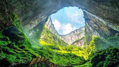 «گودال بهشتی» ورودی یک دنیای پنهان با یک جنگل آویزان شگفتانگیز و موجودات ناشناخته 2 گودال بهشتی 2