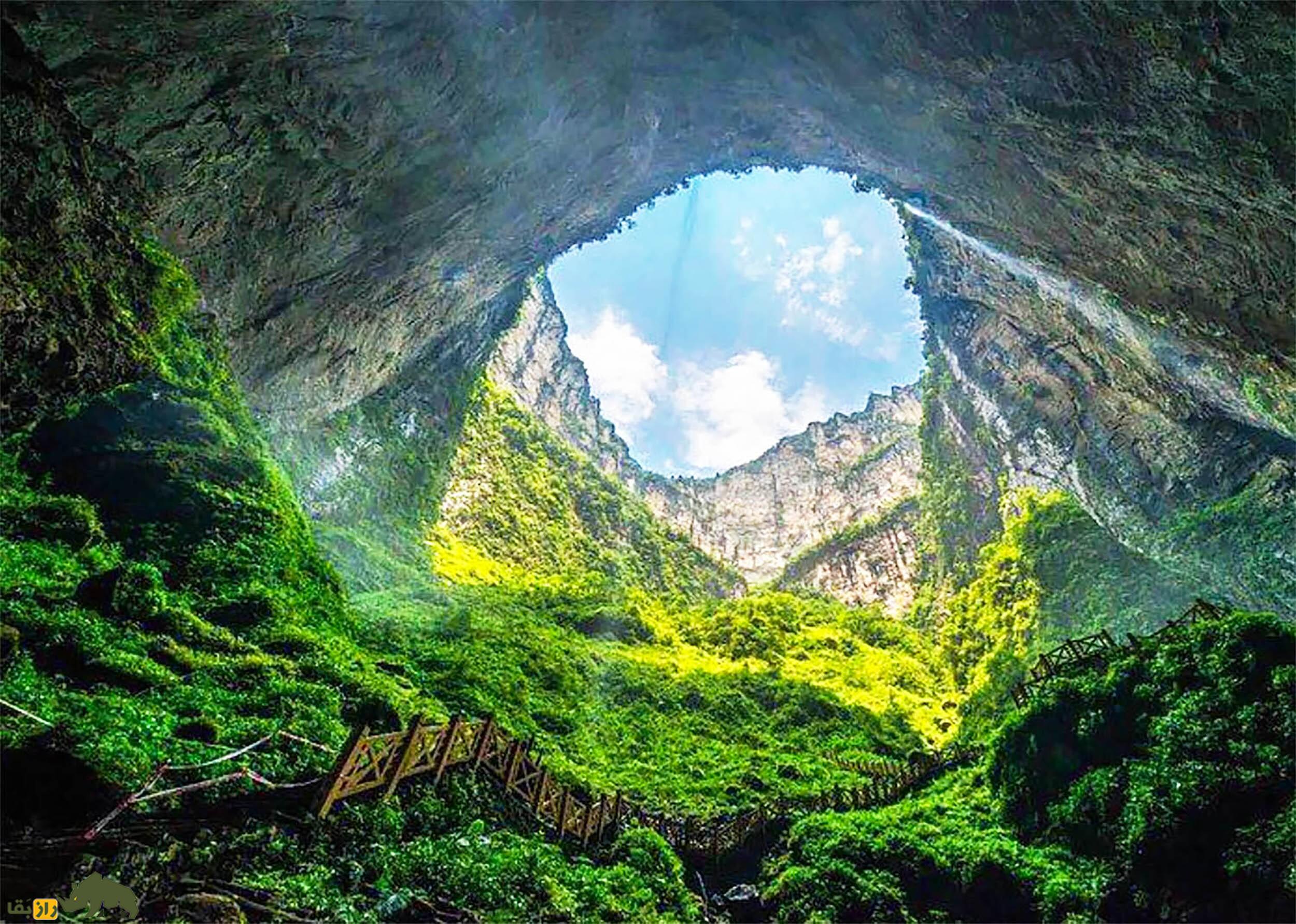 «گودال بهشتی» ورودی یک دنیای پنهان با یک جنگل آویزان شگفت‌انگیز و موجودات ناشناخته