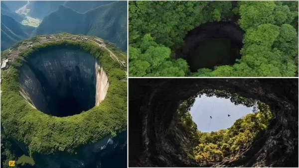 گودال بهشتی 6