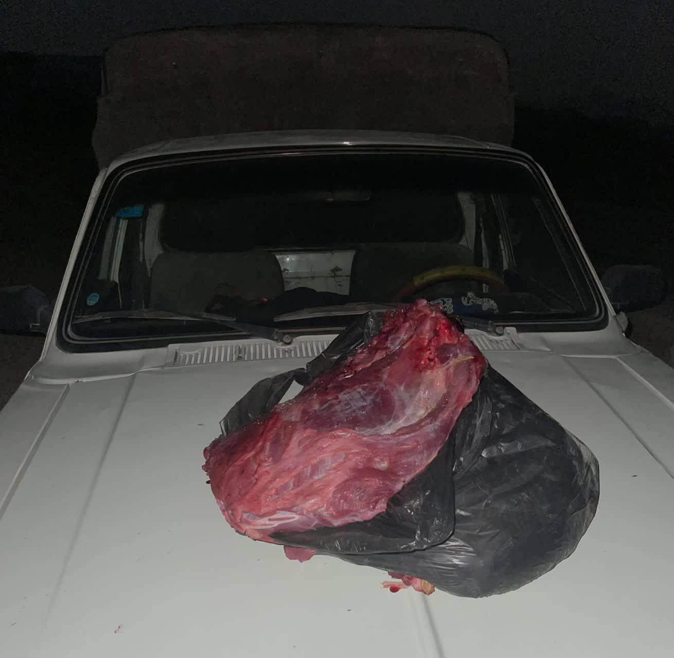 بازداشت شکارچی به همراه لاشه گراز وحشی در منطقه کوهسرخ کازرون