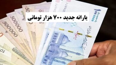 پرداخت یارانه جدید ۷۰۰ هزار تومانی به هر نفر از دی ماه