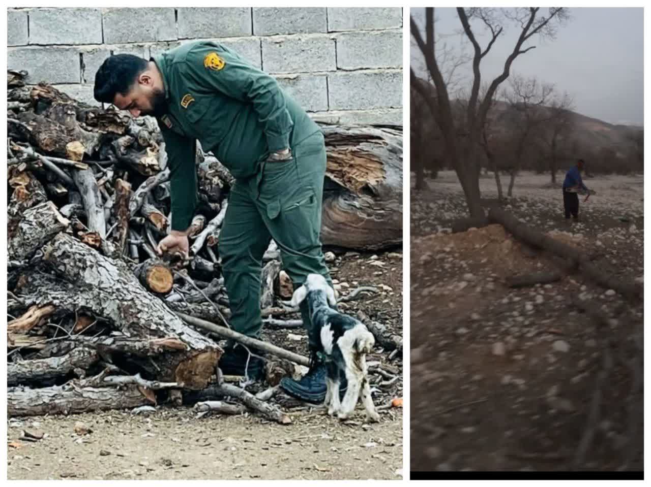 بازداشت قطع‌کنندگان بلوط در کازرون تا توقف غارت سنگ کرومیت  در بختگان