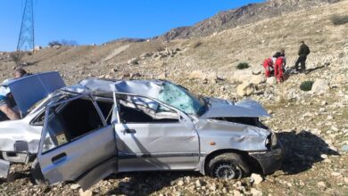 دو تصادف خونین در جاده قائمیه_نورآباد و محور نی‌ریز_بختگان