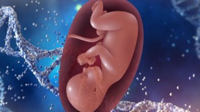 بارداری پوچ چیست و چرا اتفاق می‌افتد؟ نحوه تشخیص و اقدامات ضروری