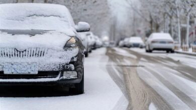هواشناسی ۲۹ دی‌ماه ۱۴۰۴|هشدار سرمای نامتعارف و یخبندان در ۲۸ استان تا آخر هفته