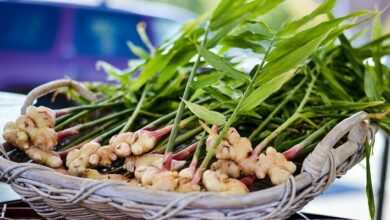 مصرف روزانه زنجبیل چه اثری بر فشار خون دارد؟