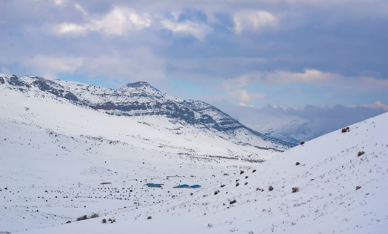 سپیدان، از زیبایی تا نماد آسیب‌پذیری و شکنندگی اکوسیستم‌های کوهستانی ایران